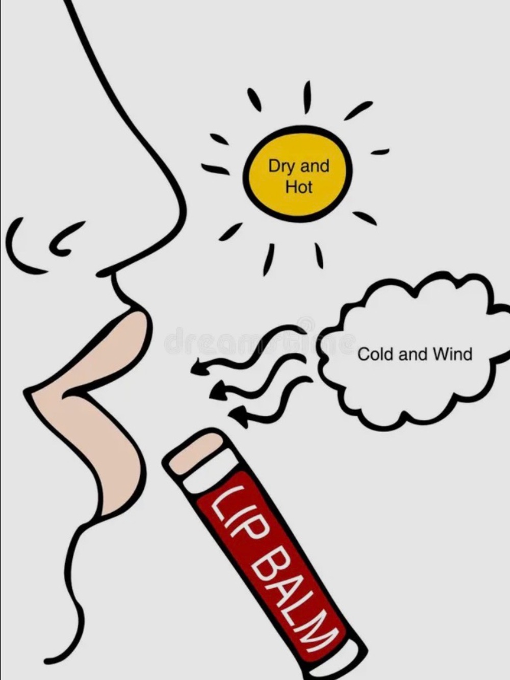 Lip Balm — Moisturizing Protection